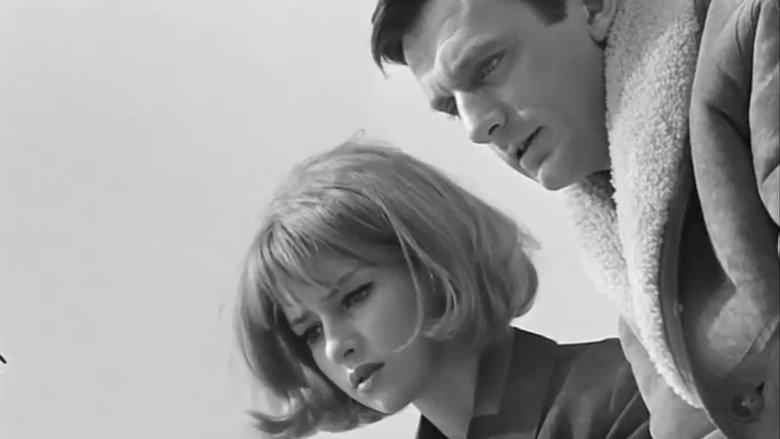 The False Step still 3