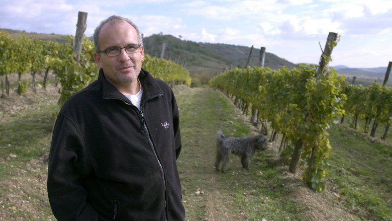 Liquid Gold: In Quest of the Aszu of Tokaj still 4