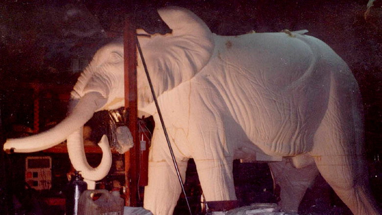 El elefante del rey still 1