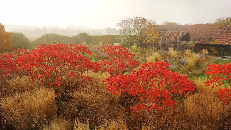 Five Seasons: The Gardens of Piet Oudolf still 6