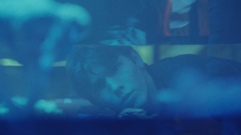 Blowfish still 4