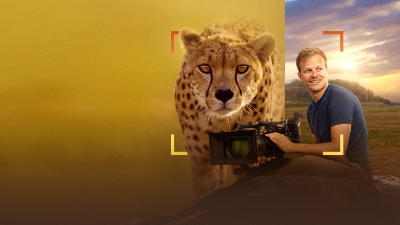 Cheetahs Up Close with Bertie Gregory still 3