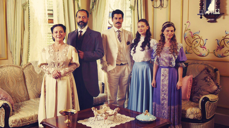 Lovebird still 2
