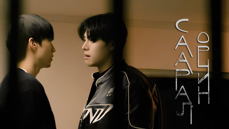 Gray Shelter still 8