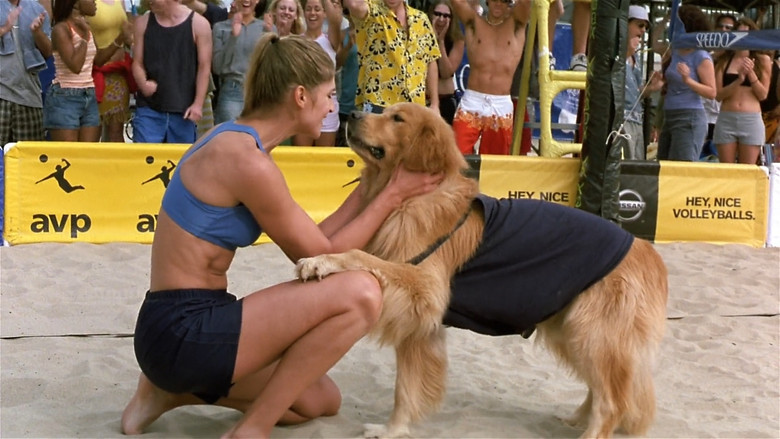 Air Bud: Spikes Back still 2