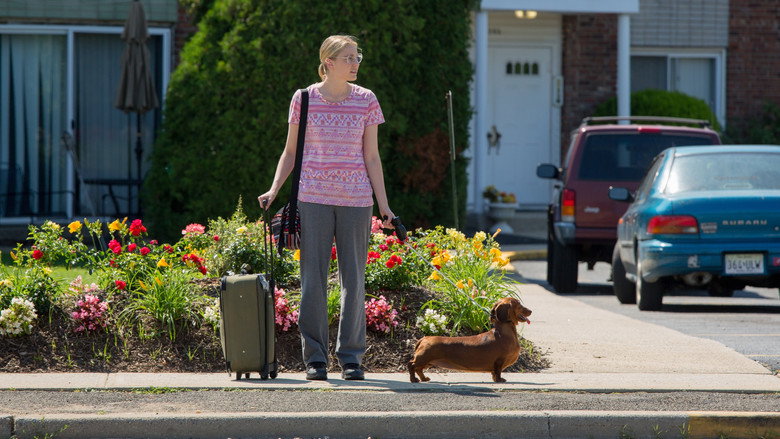 Wiener-Dog still 4