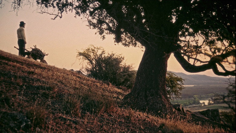 SHORTCUT still 2