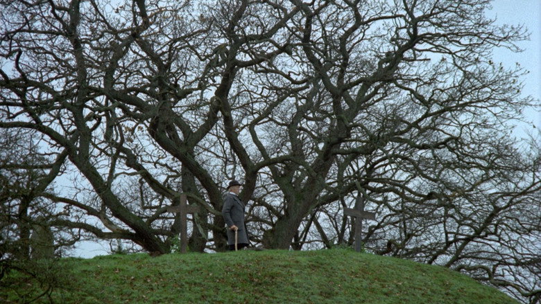 The New Land still 4