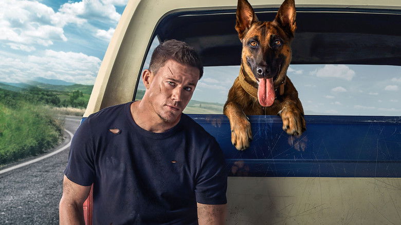 Dog still 4