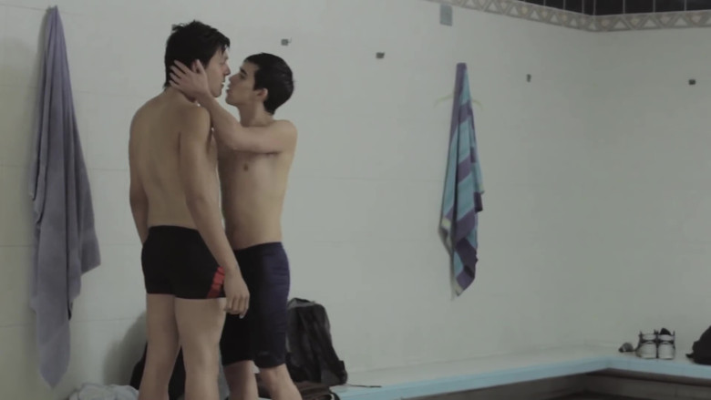 Water still 1