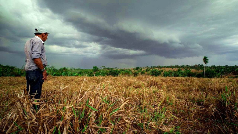 Transamazonica: A Highway to the Past still 6