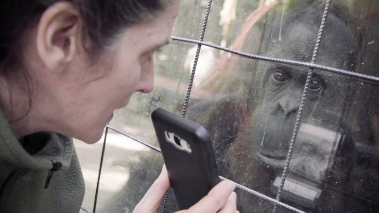 Zoofobia still 2