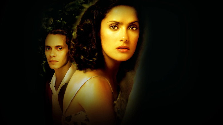 In the Time of the Butterflies still 4