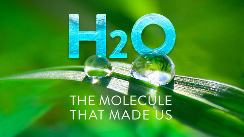 H2O: The Molecule that Made Us still 4