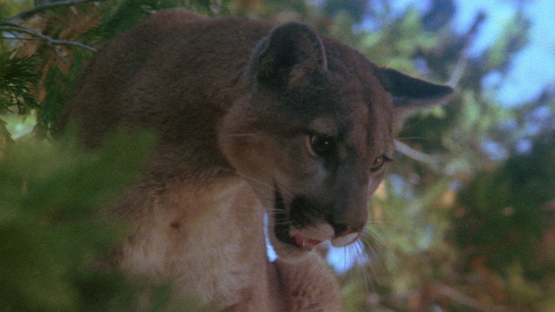 Day of the Animals still 2