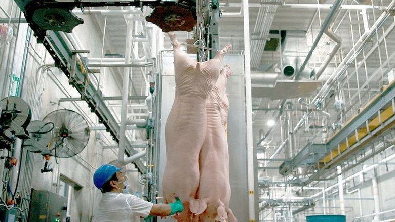 Production Line Animals still 8