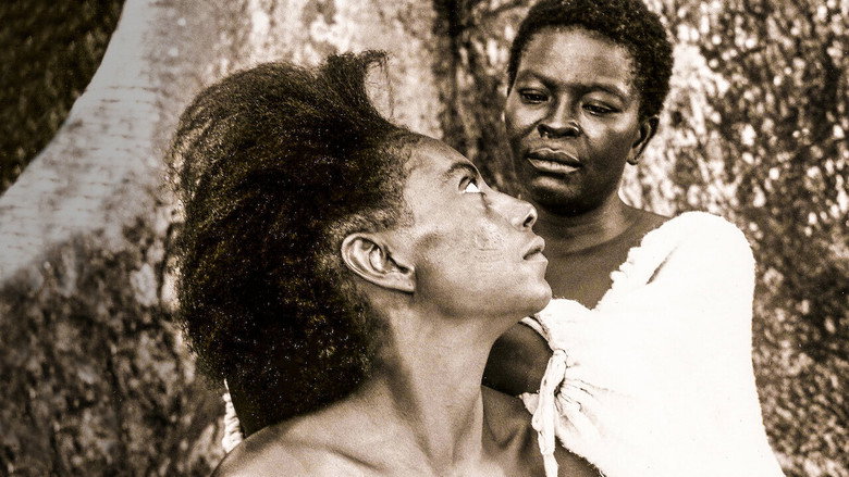 Sankofa still 2