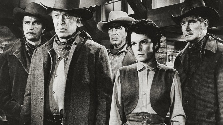 Johnny Guitar still 7
