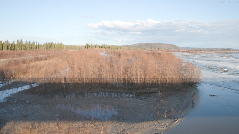 The Story of a Slough still 1