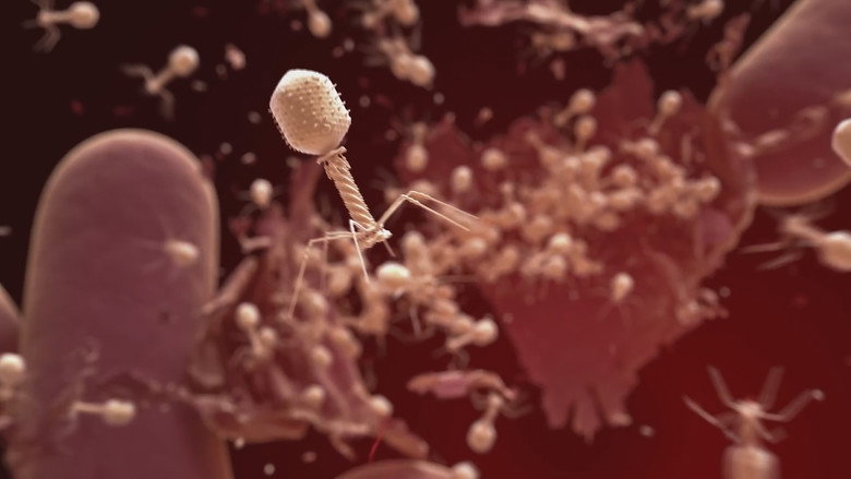 The Virus Within Us still 2