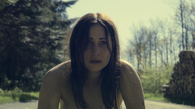 Robin still 1