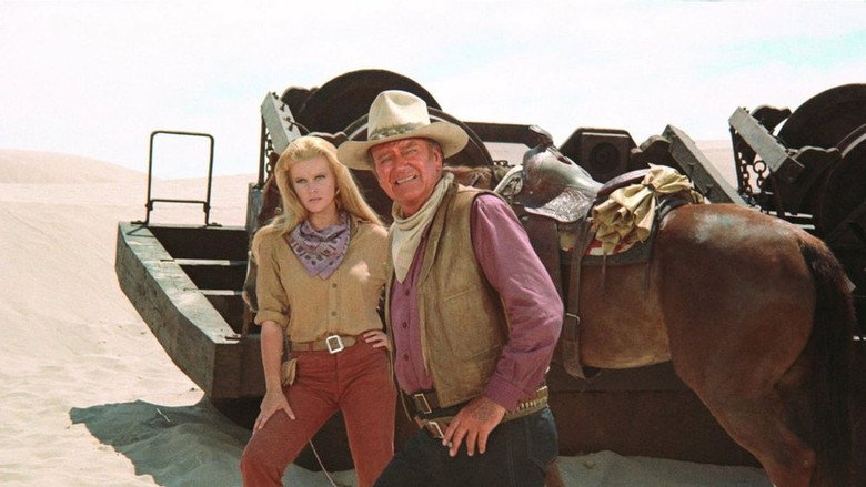 The Train Robbers still 1