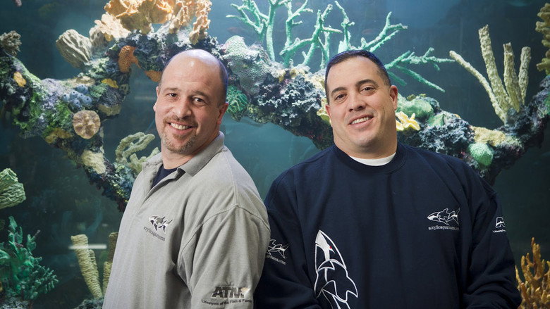 Tanked still 4