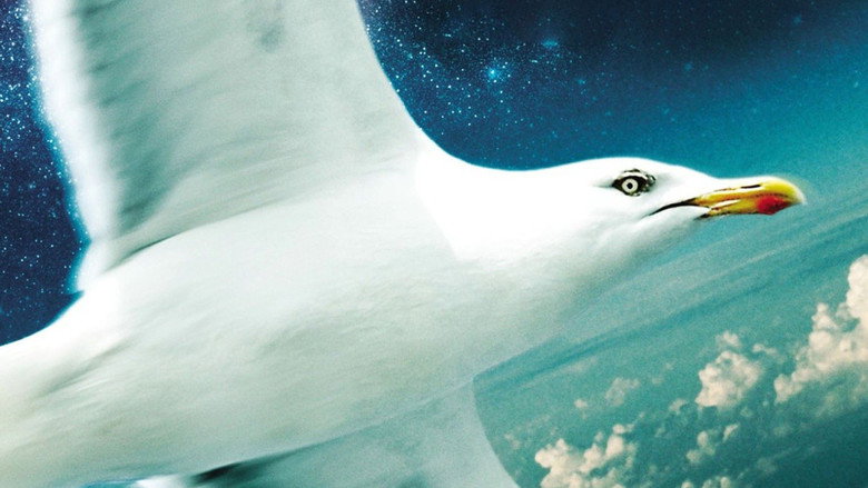 Jonathan Livingston Seagull still 2