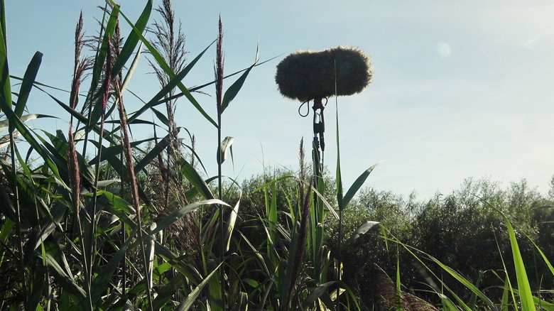 In a Silent Way still 1