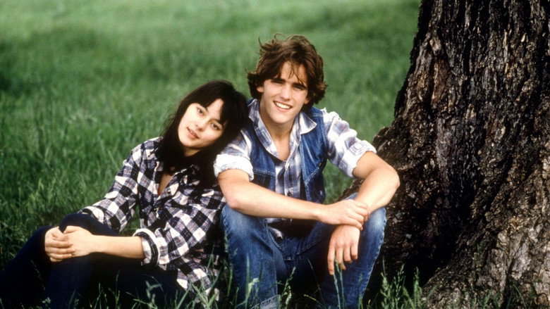 Tex still 1