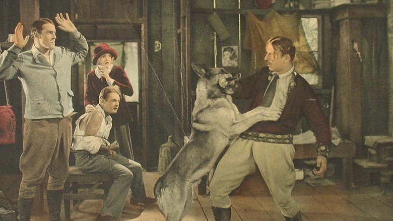 North Star still 1