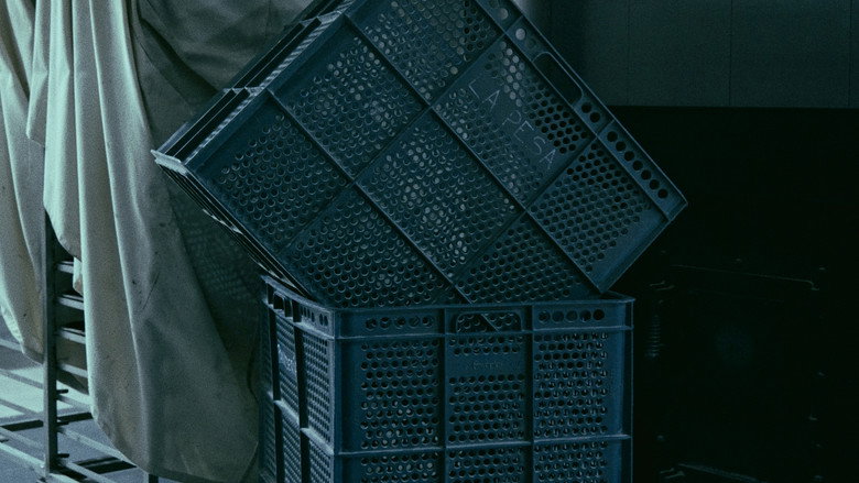 The Mechanics of Film still 3