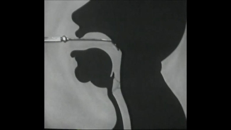 Voice Production: The Vibrating Larynx still 4