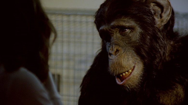 Amazing Ape still 3
