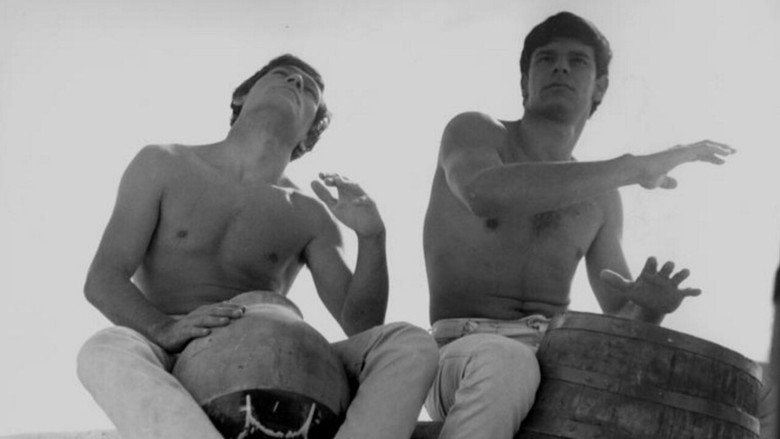 Vortex still 3