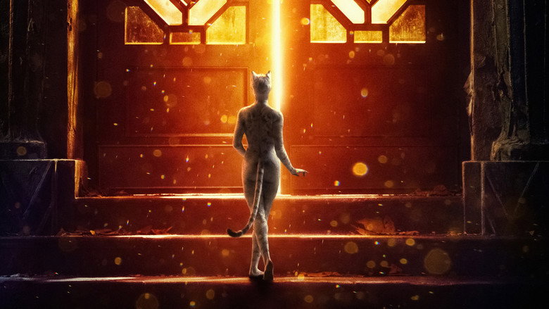 Cats still 8