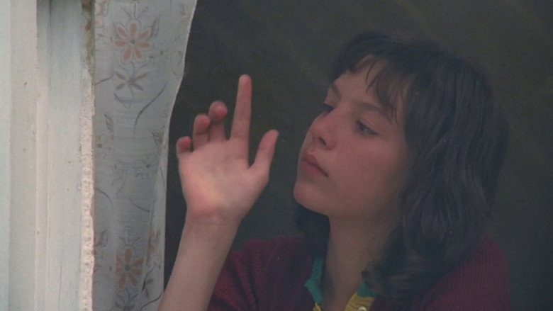 Taureau still 8