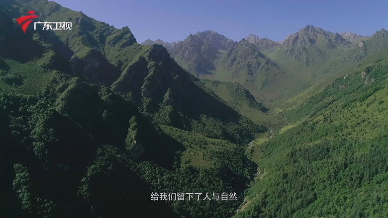 秘境神草 still 4