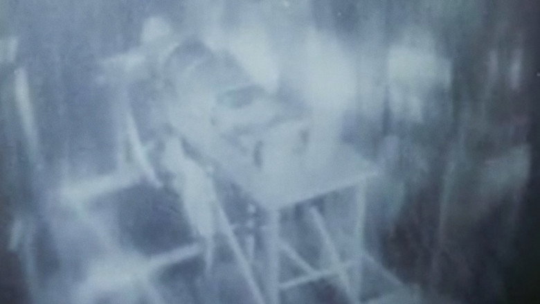 Frank Stein still 1
