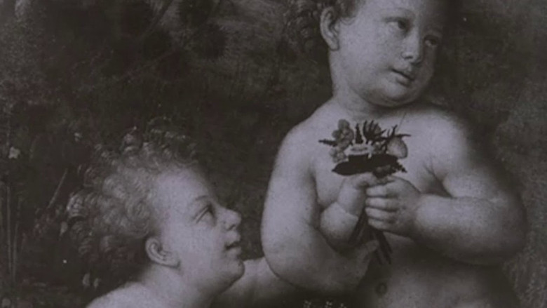 Leonardo Da Vinci The Tragic Pursuit of Perfection still 1