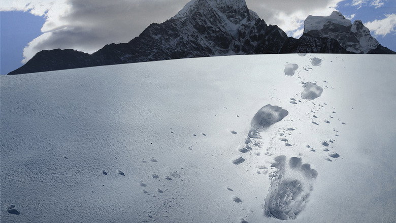 Hunt for the Abominable Snowman still 3