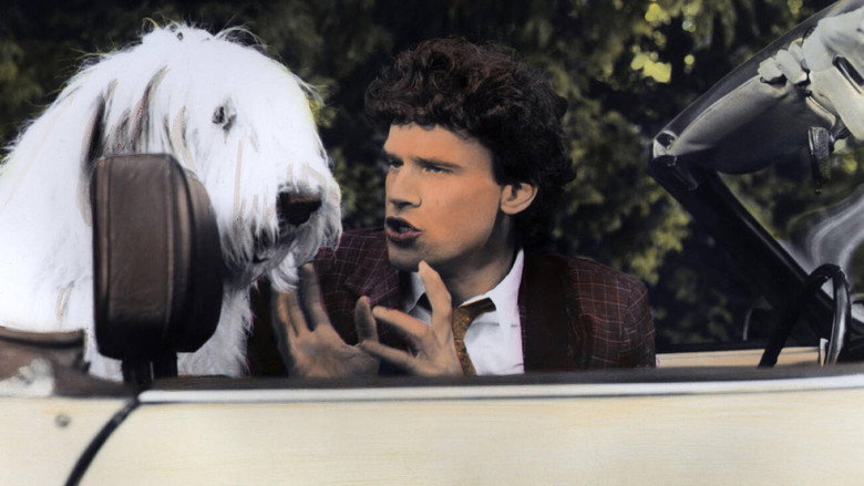 The Return of the Shaggy Dog still 2