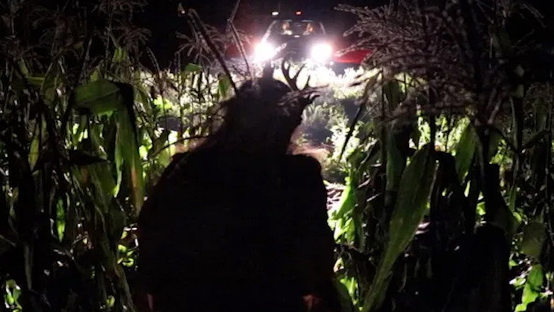 Fawn still 1