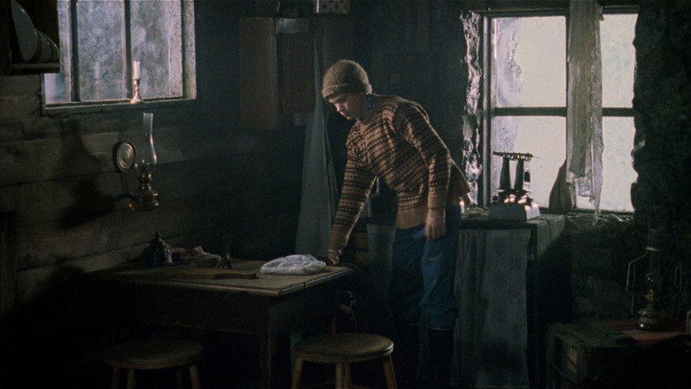 Cold Light still 8