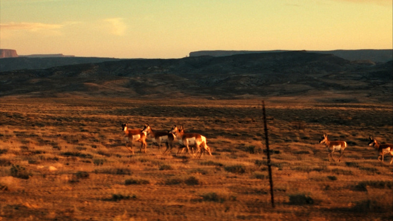 Edward Abbey, naturellement subversif ! still 3