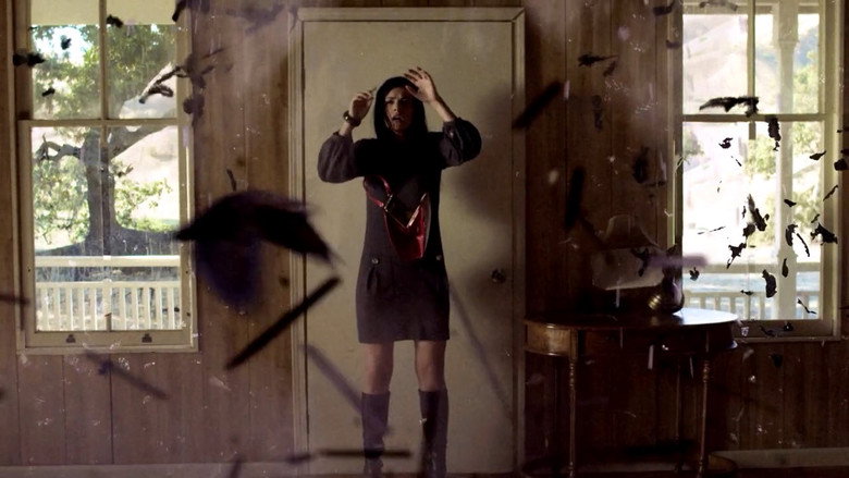 The Birds of Anger still 4