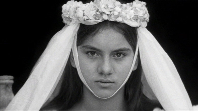The Valley of the Bees still 3