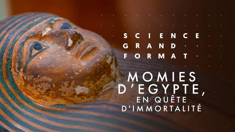 Momies d'Égypte, en quête d'immortalité still 2