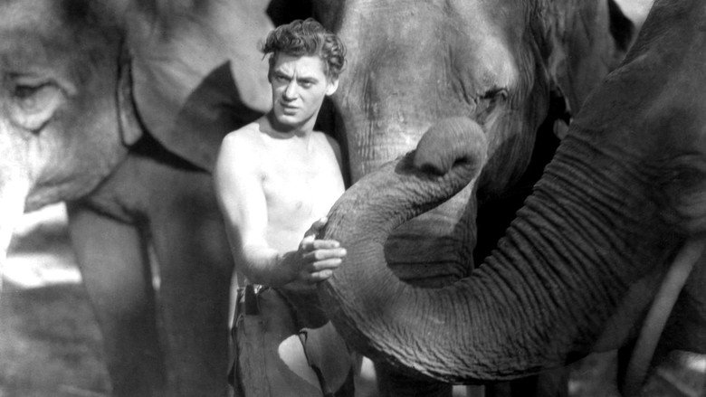 Tarzan the Ape Man still 1