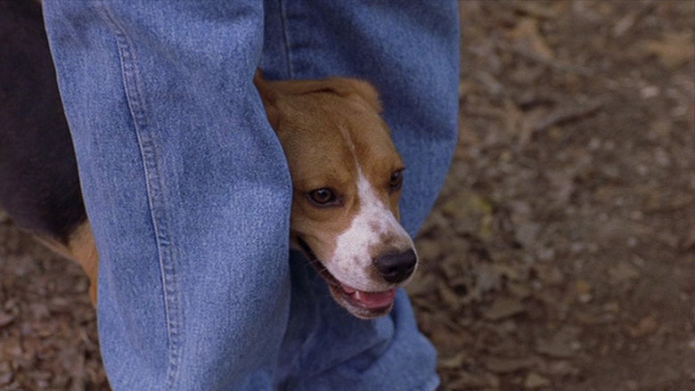 Saving Shiloh still 1